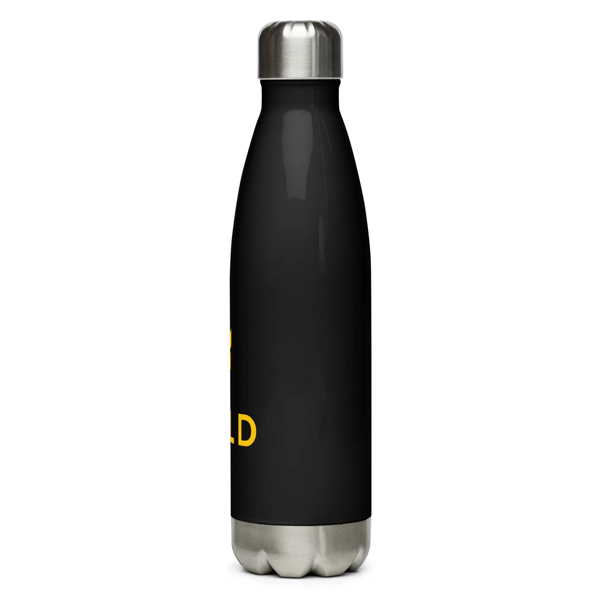 Stainless Steel Water Bottle