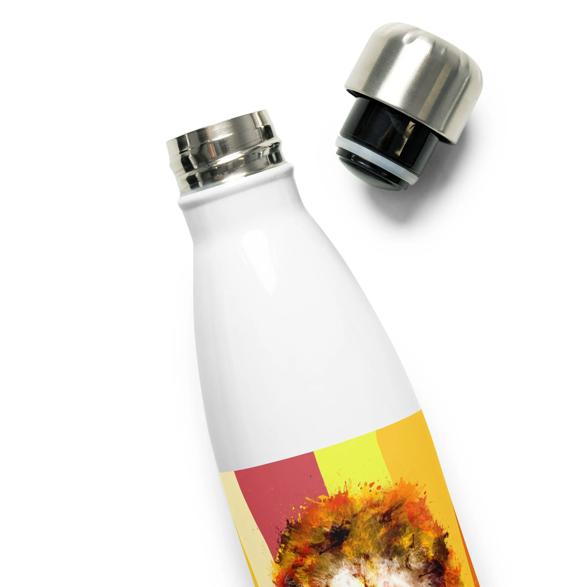 Sun Rays Stainless Steel Water Bottle