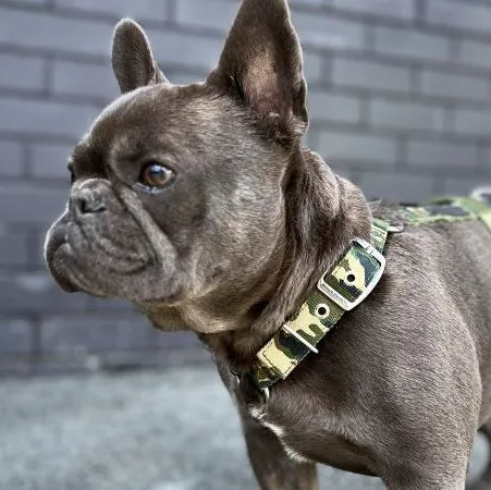 SUPATUFF® Dog Harness Camo (Slim Fit)
