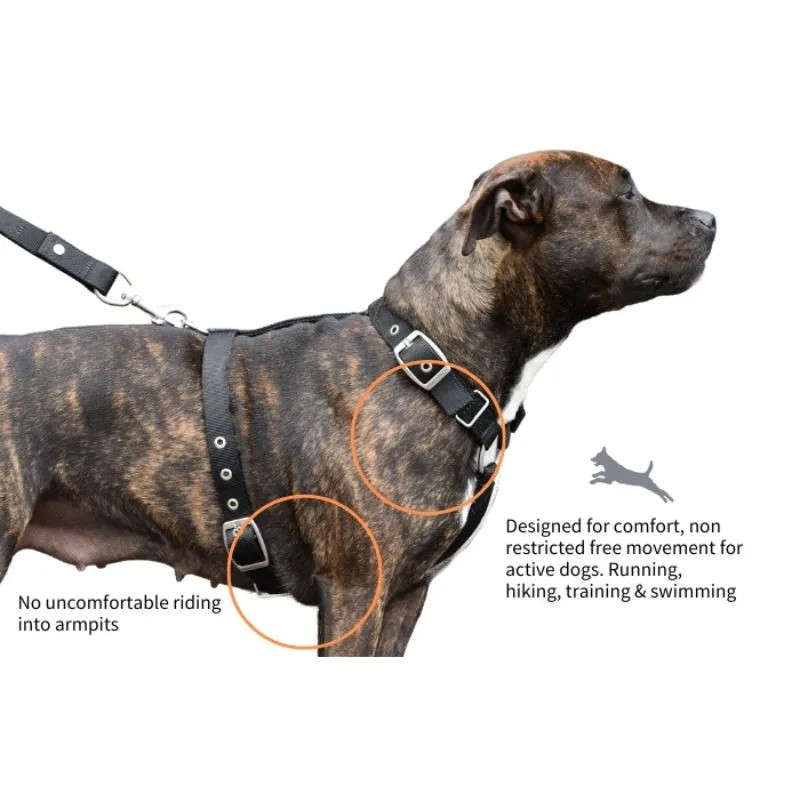 SUPATUFF® Dog Harness Camo (Slim Fit)