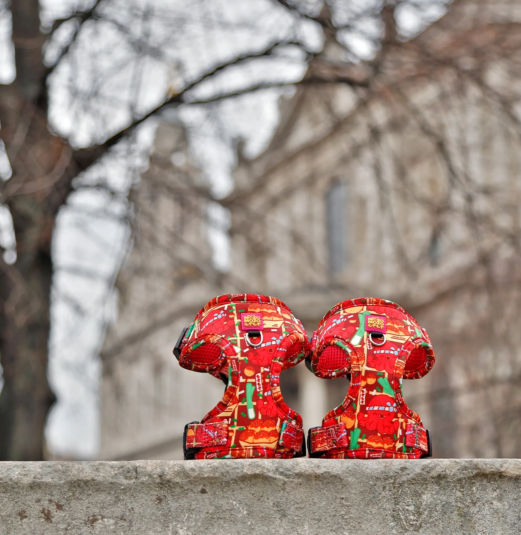 Takoyaki (red) adjustable harness