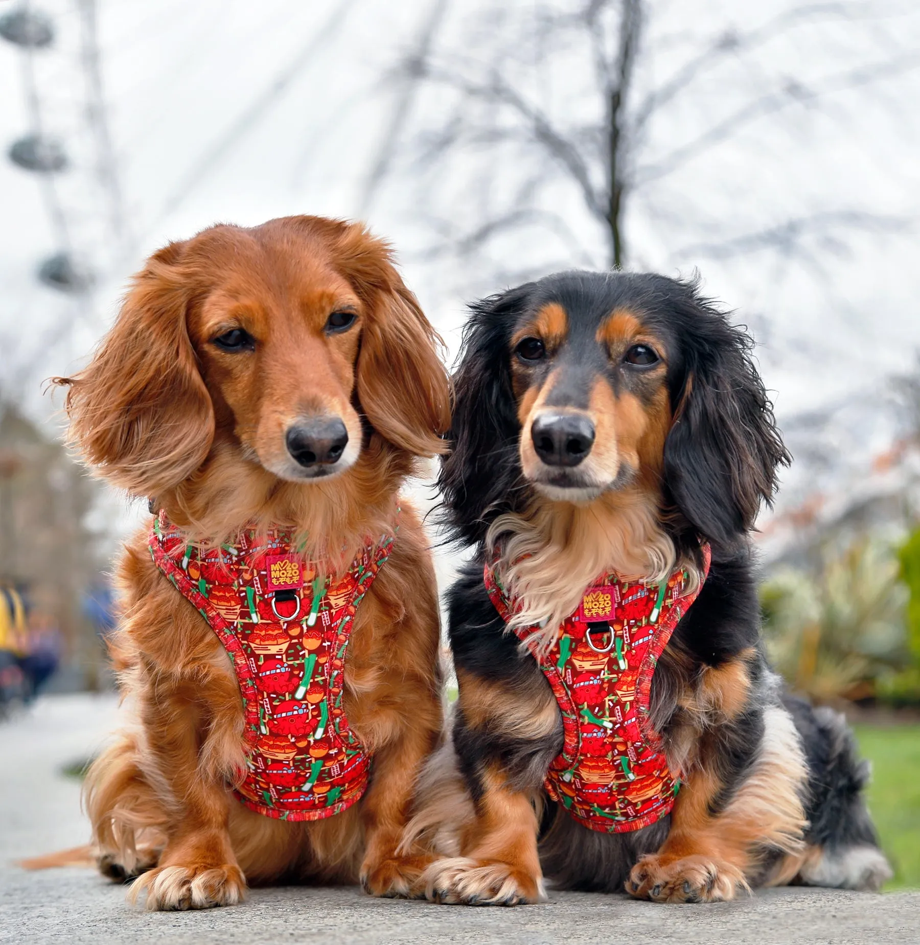 Takoyaki (red) adjustable harness