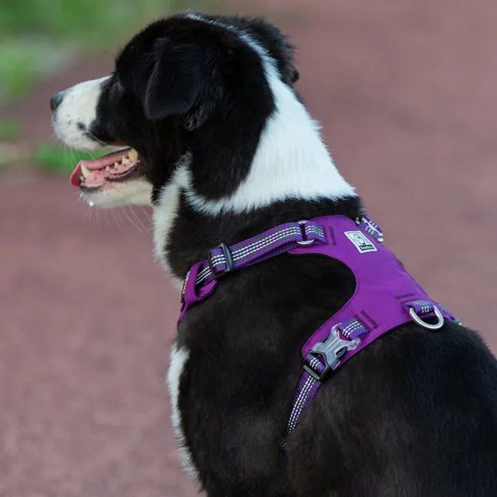 True Love Lightweight Reflective Harness - Purple, 2XS