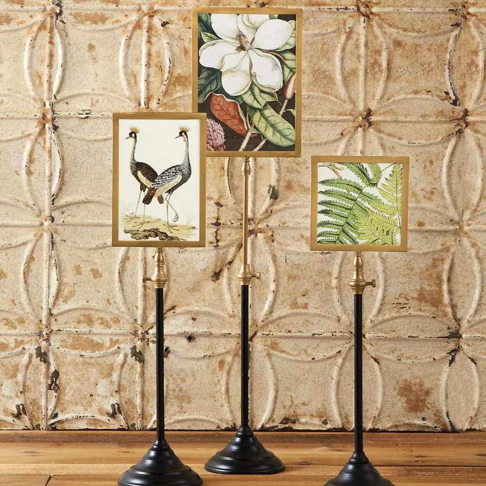 Two's Company Double Sided Photo Frame on Telescoping Pole