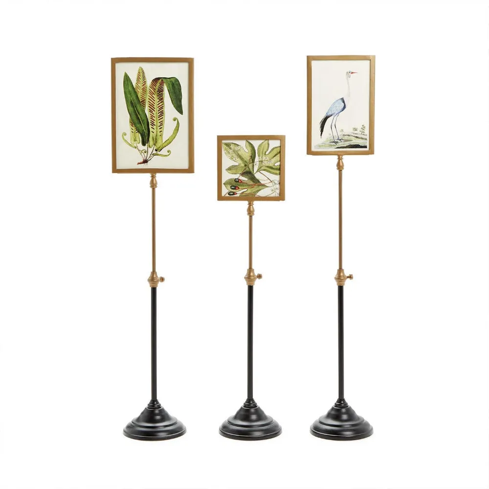 Two's Company Double Sided Photo Frame on Telescoping Pole