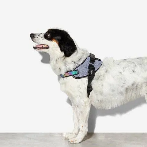 Zee.Dog - Urban | FlyHarness: Size 1