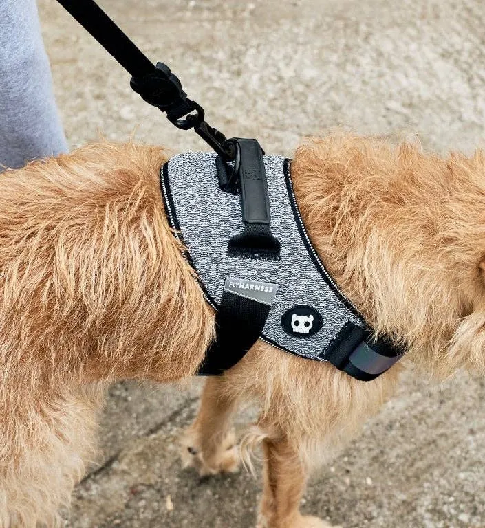 Zee.Dog - Urban | FlyHarness: Size 1