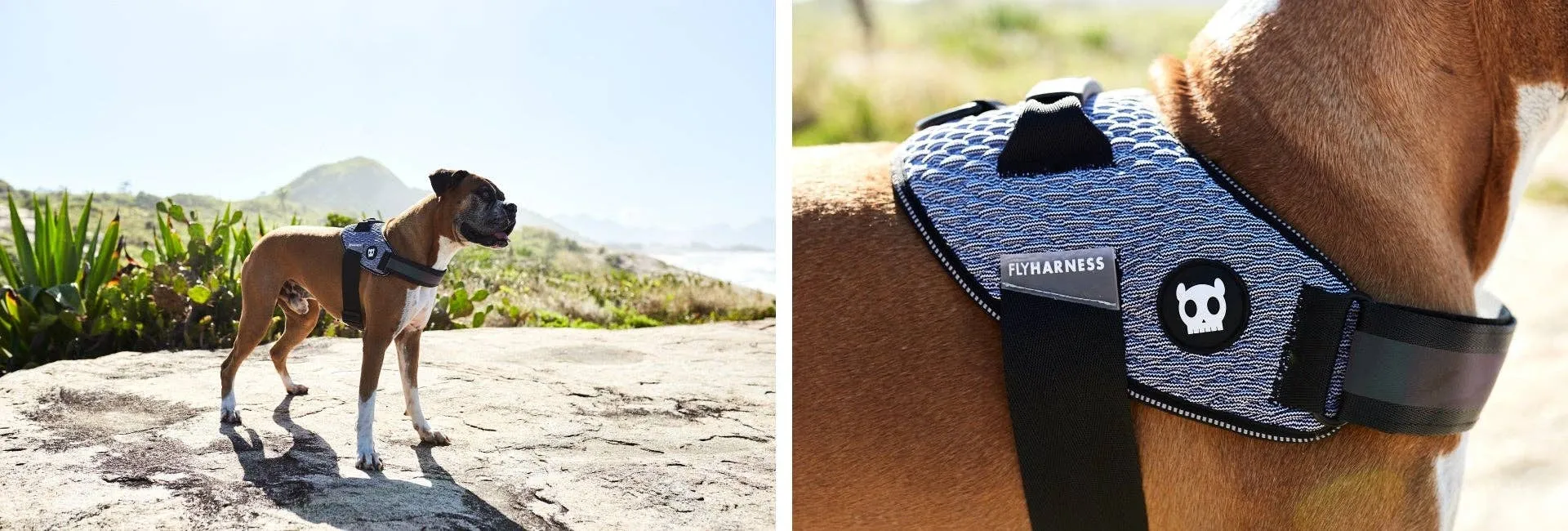 Zee.Dog - Urban | FlyHarness: Size 1